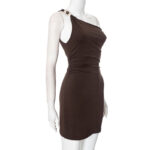 Gans Mini Dress brown (6)